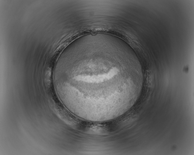 X0000116650550200912291618