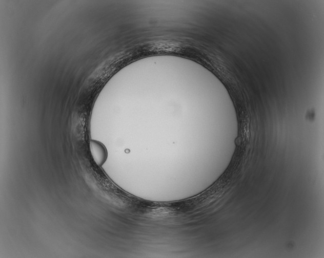 X0000116650551200912291618