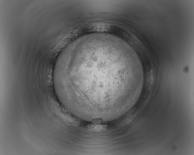 X0000116650553200912291618