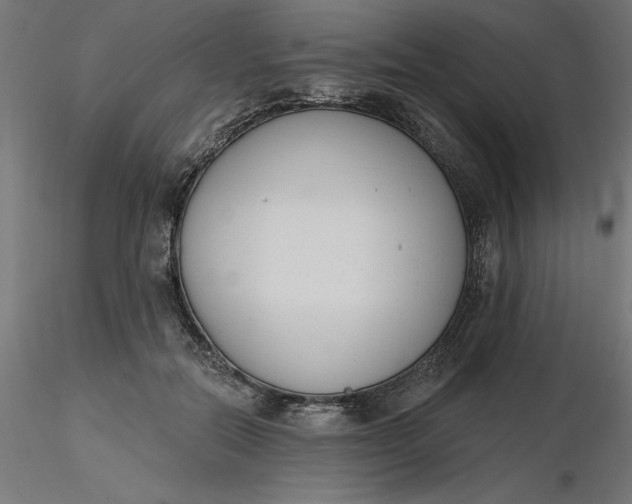 X0000116650554200912291618