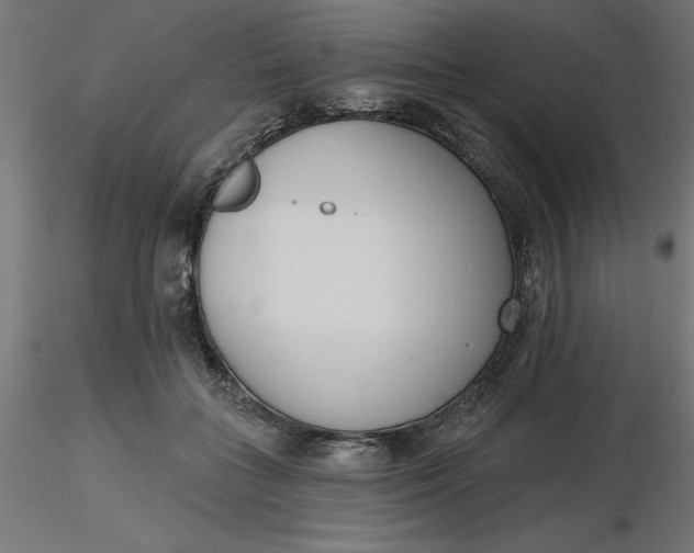 X0000116650555200912291618