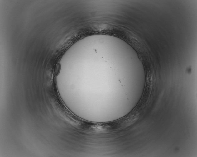 X0000116650558200912291618