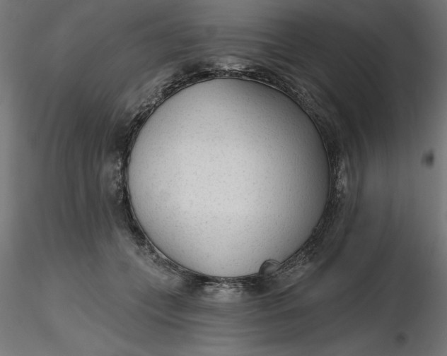 X0000116650559200912291618