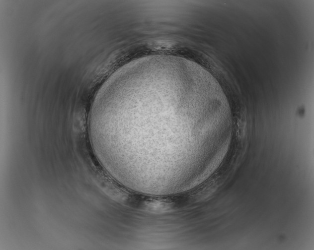 X0000116650561200912291618