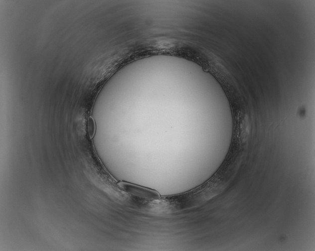 X0000116650562200912291618