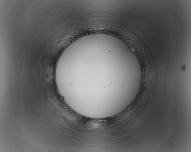 X0000116650563200912291618