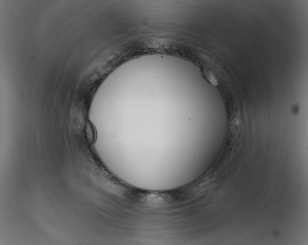 X0000116650566200912291618