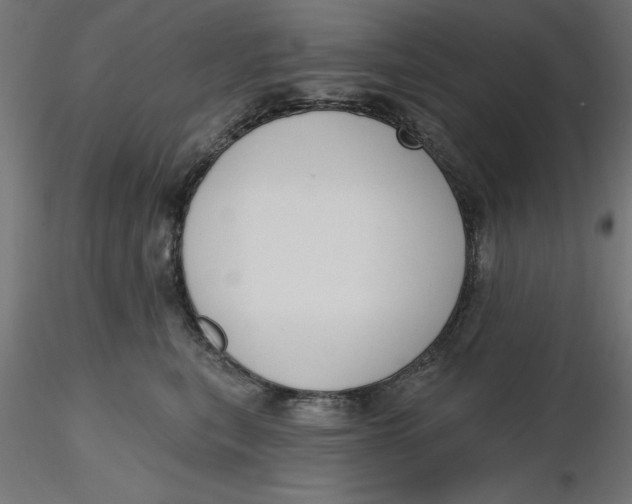 X0000116650567200912291618