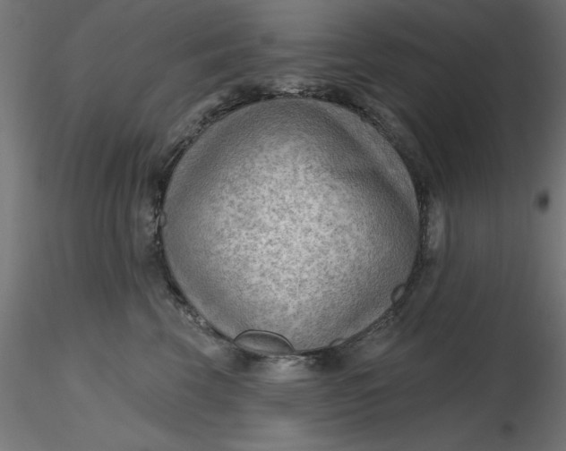 X0000116650569200912291618