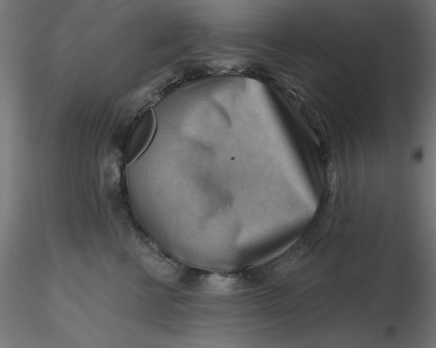 X0000116650570200912291618