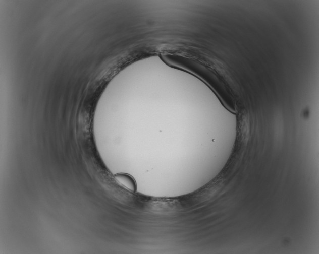 X0000116650571200912291618