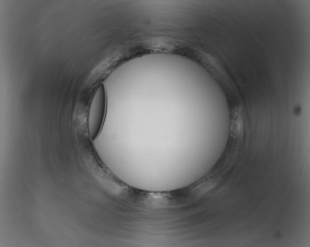 X0000116650573200912291619