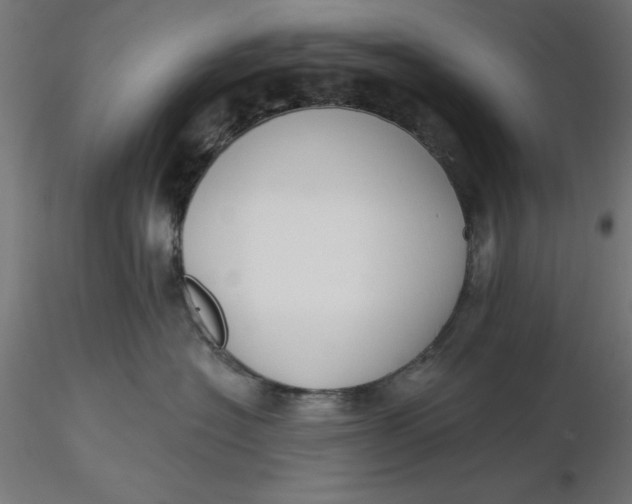 X0000116650574200912291619