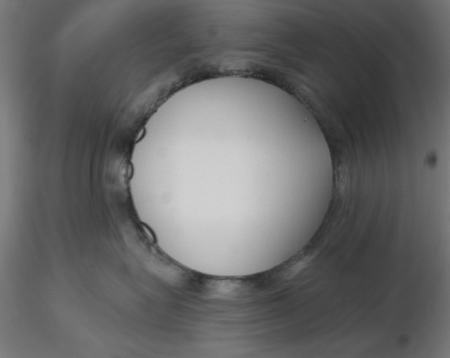 X0000116650575200912291619