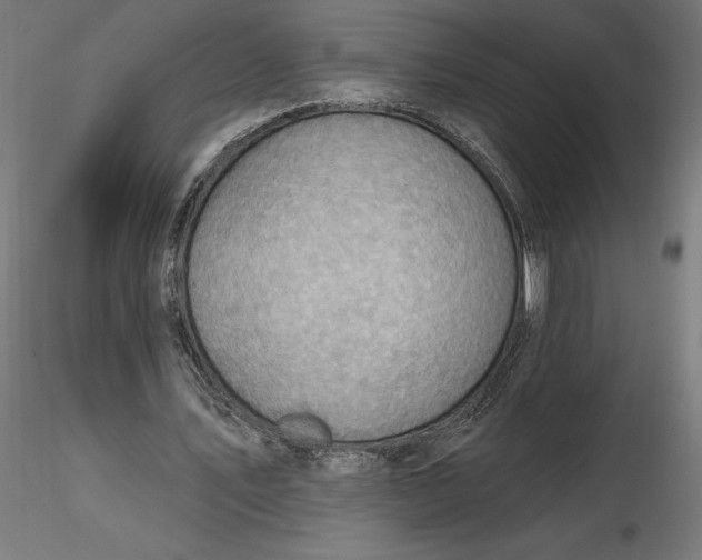 X0000116650579200912291618