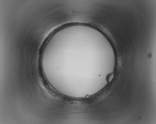 X0000116650580200912291618