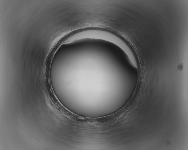 X0000116650583200912291618