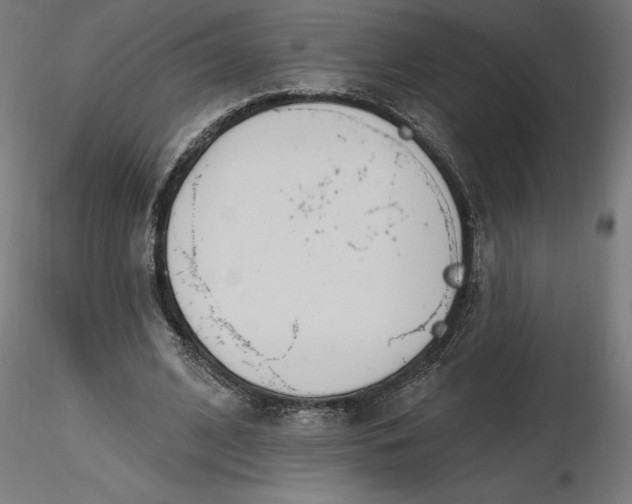 X0000116650584200912291618