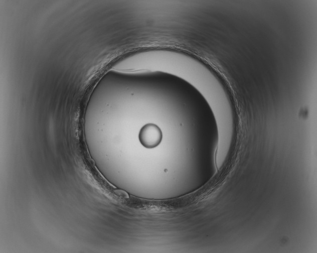 X0000116650585200912291618