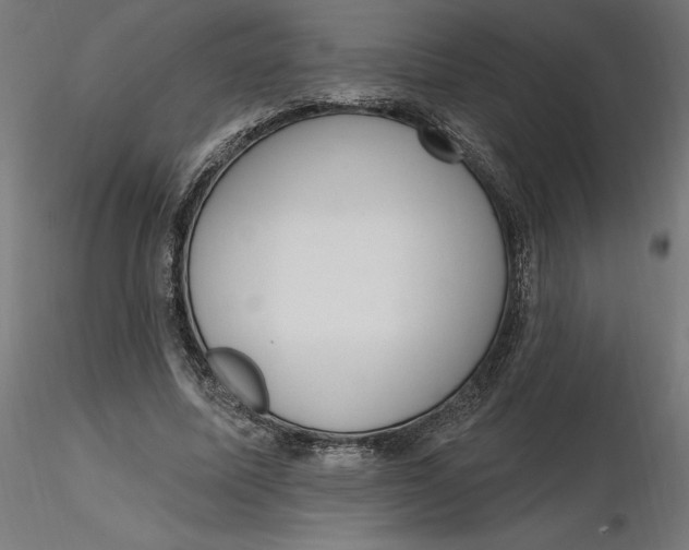 X0000116650587200912291618