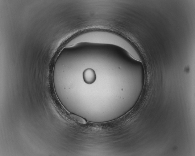 X0000116650588200912291618