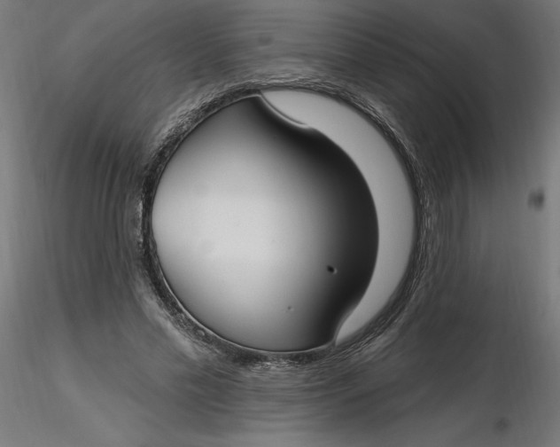 X0000116650589200912291618