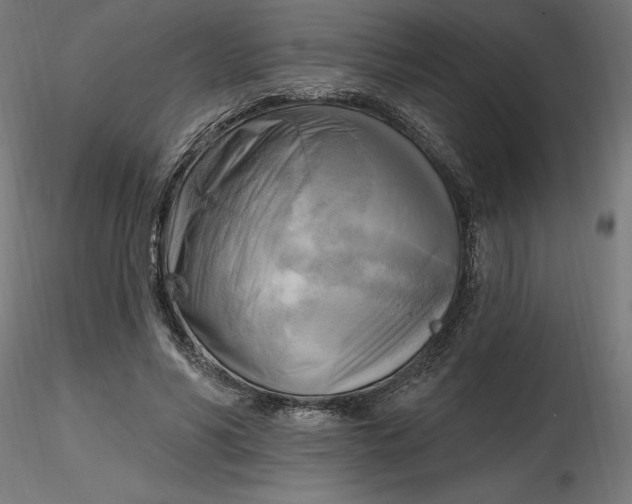 X0000116650590200912291618