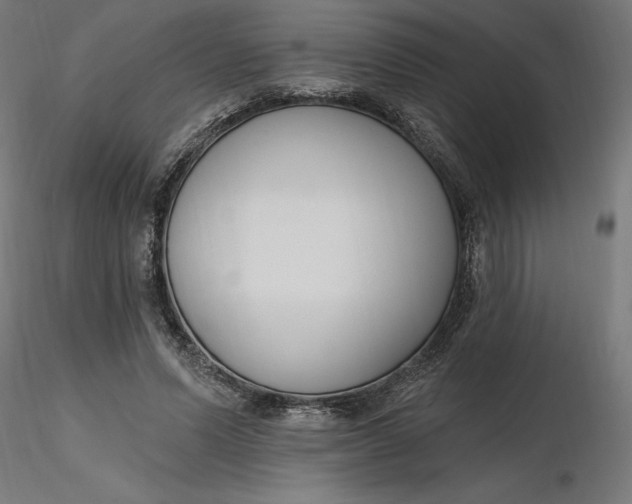 X0000116650591200912291618