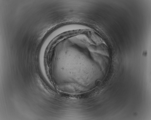 X0000116650592200912291618