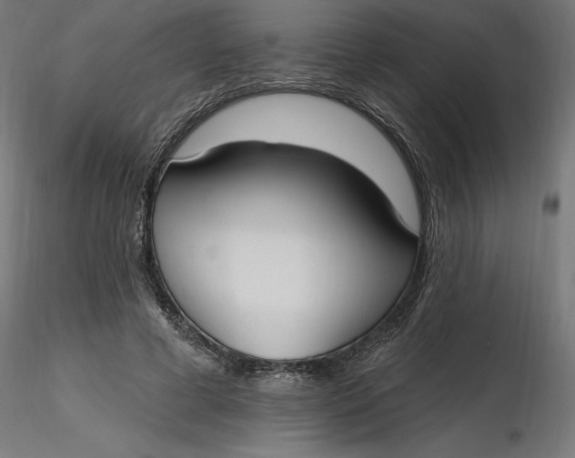 X0000116650593200912291618