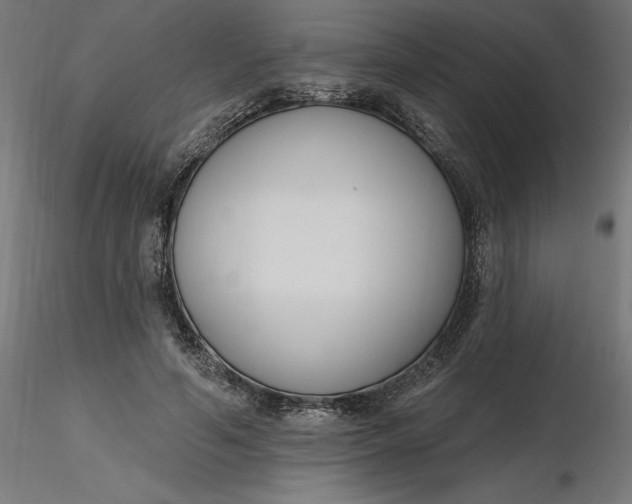 X0000116650594200912291618