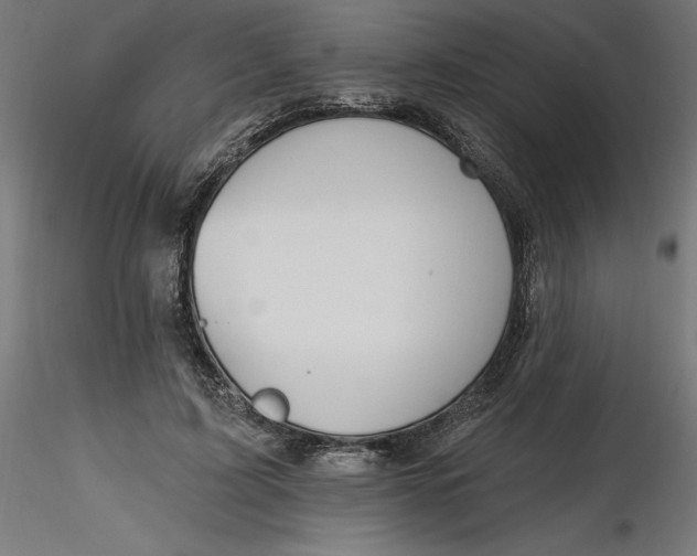 X0000116650595200912291618