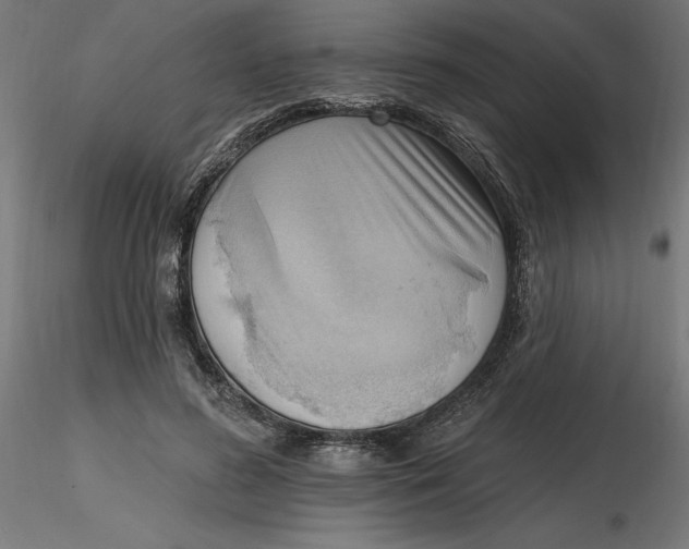 X0000116650596200912291618