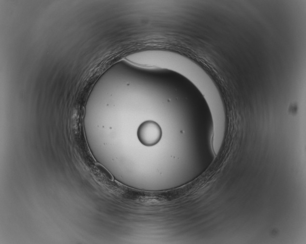 X0000116650597200912291618