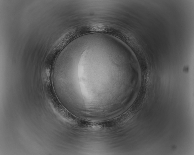 X0000116650598200912291618