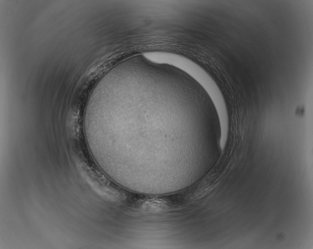 X0000116650599200912291618