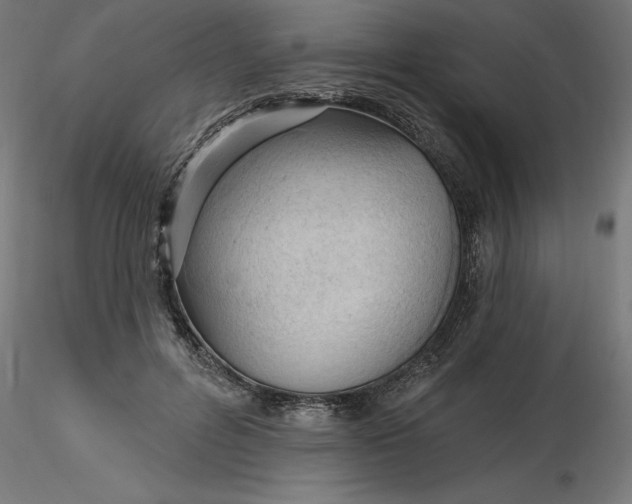 X0000116650600200912291618