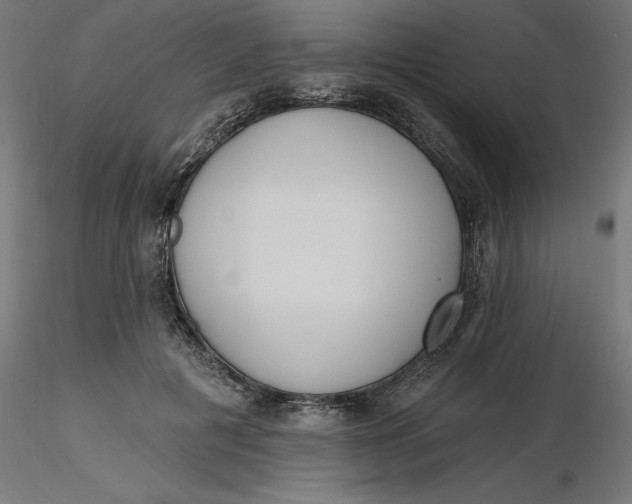 X0000116650601200912291618