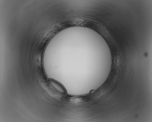 X0000116650602200912291618