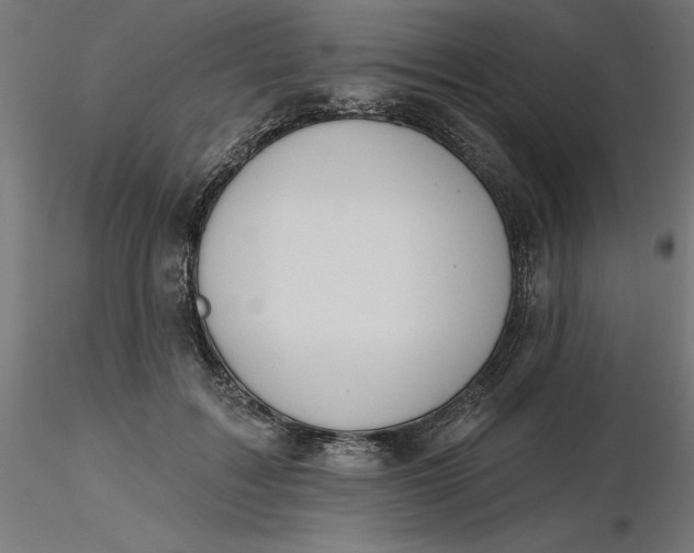 X0000116650603200912291618