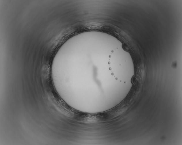 X0000116650604200912291618