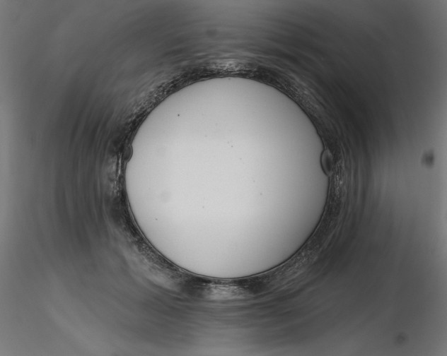 X0000116650605200912291618