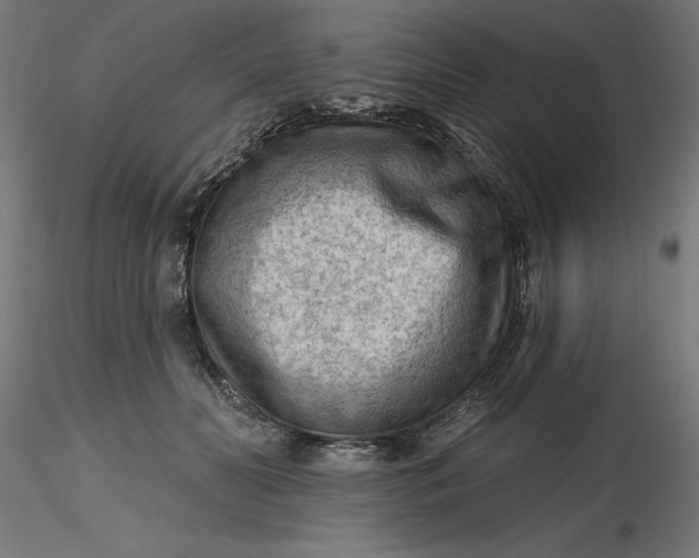 X0000116650606200912291618