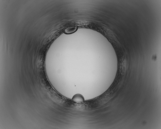 X0000116650608200912291617