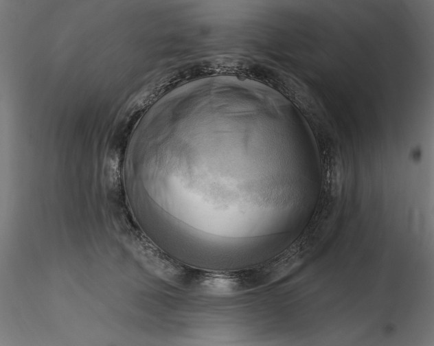 X0000116650610200912291617