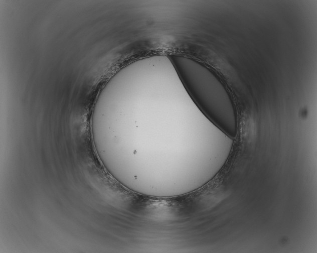 X0000116650611200912291617