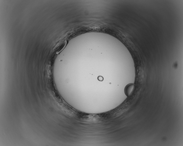 X0000116650612200912291617