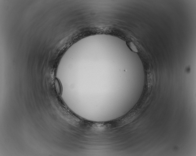 X0000116650613200912291617