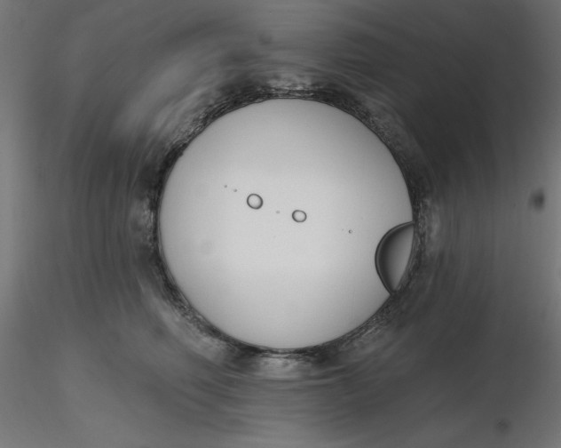 X0000116650614200912291617