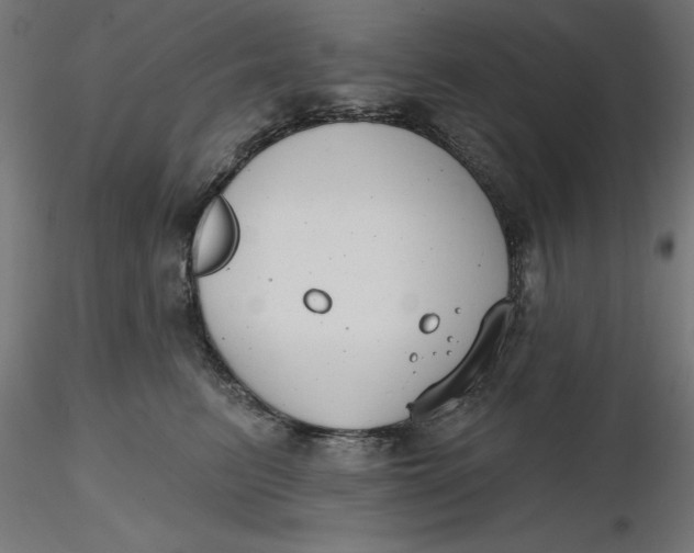 X0000116650615200912291617